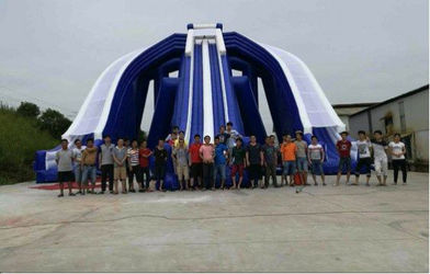 Re Inflatable Co. , Limitato