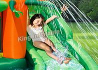 Castello tropicale di salto del centro del gioco/acquascivolo gonfiabile per i bambini di estate