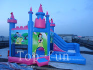 Bambini dell'interno o Camera all'aperto di principessa Commercial Inflatables Bouncy Castle per noleggio
