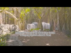 Tenda da hotel gonfiabile Bubble House