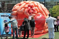 Mostre gonfiabili di conferenze di Brain Model Tent Inflatable Medical - cervello mega