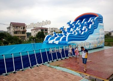 Parchi gonfiabili dell'acqua del delfino del bacino blu di sostegno con il PVC di Platone dello scorrevole