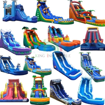 Slide gonfiabili personalizzati Slide gonfiabile idraulico bagnato Slide asciutto con piscina
