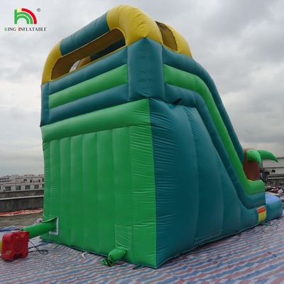 Prezzi bassi Slide d'acqua gonfiabili in PVC di qualità commerciale con piscina