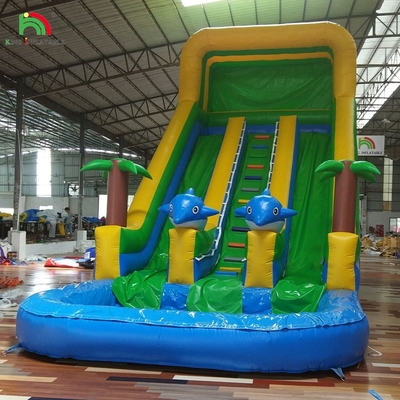 Slide a doppio slitta Slide a acqua gonfiabile Slide a palma Slide gonfiabile bagnato asciutto per bambini e adulti