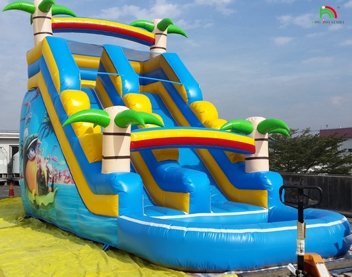 Slide a doppio slitta Slide a acqua gonfiabile Slide a palma Slide gonfiabile bagnato asciutto per bambini e adulti