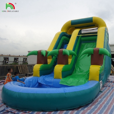 Slide a doppio slitta Slide a acqua gonfiabile Slide a palma Slide gonfiabile bagnato asciutto per bambini e adulti