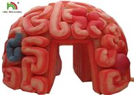 Organi artificiali della replica gonfiabile del cervello del gigante 4m per lo SGS educativo EN71