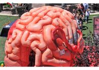 Organi artificiali della replica gonfiabile del cervello del gigante 4m per lo SGS educativo EN71