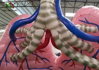 Tenda color carne di manifestazione dell'organo del modello del polmone di simulazione di esplosione per lo studio medico