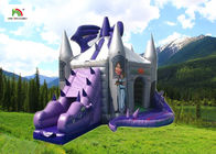 Castello di salto gonfiabile del drago porpora con lo scorrevole per il compleanno
