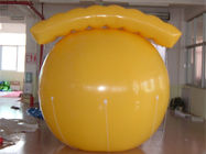 Il prezzo della mongolfiera/ha personalizzato i palloni di pubblicità/pallone gonfiabili dell'elio