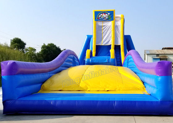 Annunci pubblicitari gonfiabile blu/giallo dei giochi dell'acquascivolo scorrevole dell'ippopotamo di 4m * di 12 per la spiaggia