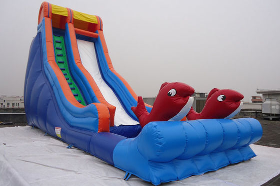 Il pesce a senso unico ha decorato la piscina del PVC dell'acquascivolo di esplosione da vendere
