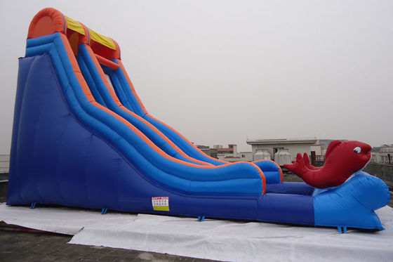 Il pesce a senso unico ha decorato la piscina del PVC dell'acquascivolo di esplosione da vendere
