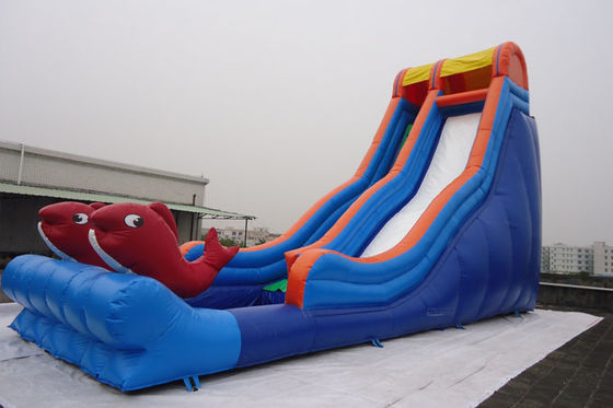 Il pesce a senso unico ha decorato la piscina del PVC dell'acquascivolo di esplosione da vendere