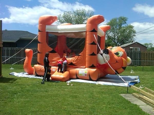 Il PVC ha ricoperto il fumetto Tiger Inflatable Bouncer Castle Blow sul castello di salto