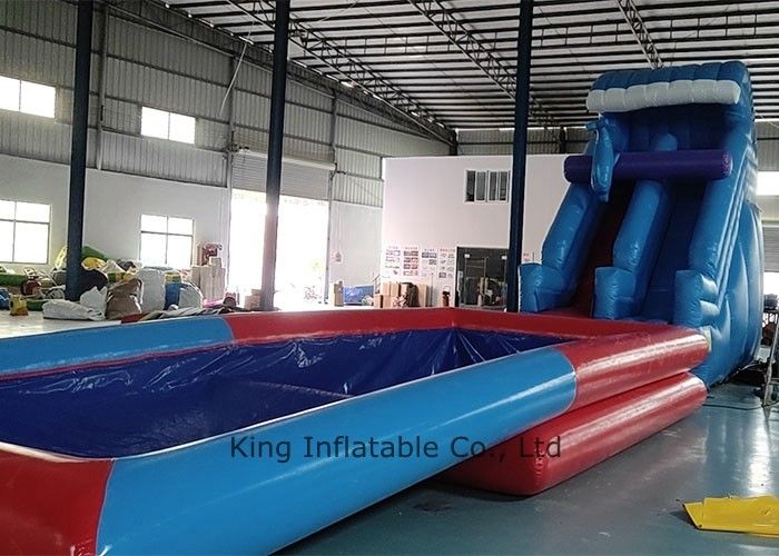 Durable PVC Tarpaulin dolphin theme Inflatable Dolphin pool Slide with different height